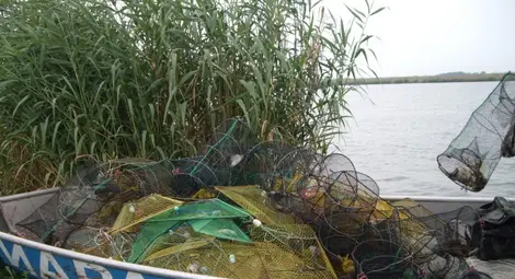 220 метра бракониерски мрежи извадиха от Дунав