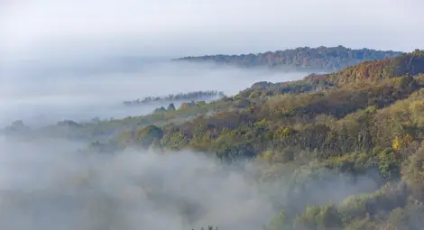 Мъгли и ниска облачност, 14 градуса ще е максималната температура