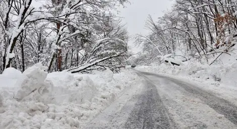 Слаб сняг ще превалява над страната и утре