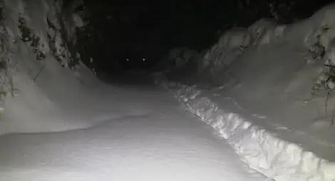 Снимка: ТВН