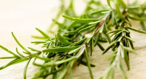 Розмаринът забавя стареенето на мозъка
