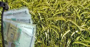 Средната рента в Русенско стига 63 лева на декар и ще върви нагоре