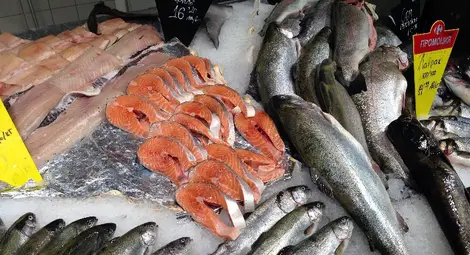 ИАРА започна масови проверки за продажба на риба в страната ИАРА започна масови проверки за продажба на риба в страната