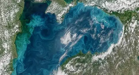 НАСА показа тюркоазени вихри в Черно море 