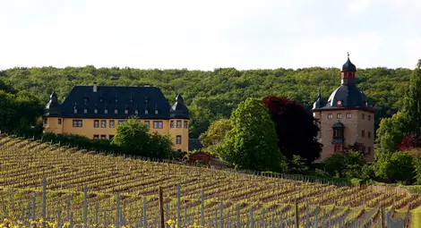 Най-старите компании в света, които работят вече 1000 години