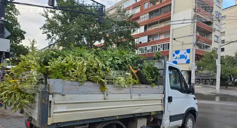 Снимка: БТА Снимка: БТА