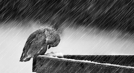 Очакват ни валежи от дъжд и сняг през уикенда