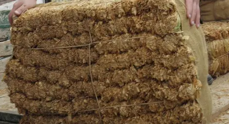 Кой и как източва пари с тютюн /видео/