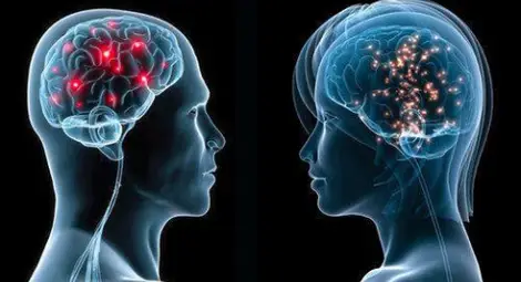 7 прости правила за по-добра памет 7 прости правила за по-добра памет