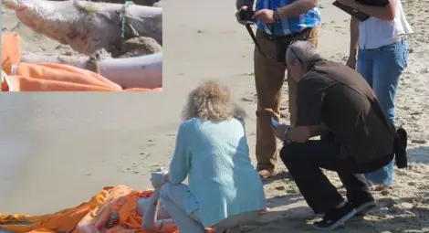 Разпознават удавеното момиче по гривна с мъниста на крака и татуировка Разпознават удавеното момиче по гривна с мъниста на крака и татуировка