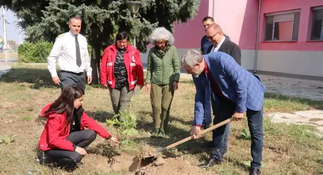 Засадиха дърво на приятелството между Русе и Гюргево  пред Първа пожарна служба
