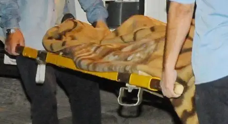 Шокираща история: Просяк живял 2 седмици с трупа на приятеля си, за да му получи пенсията