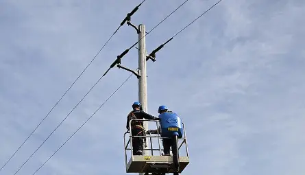 ЕРП Север и Българско дружество за защита на птиците успешно приключиха дейностите по поставяне на гнездилки за синявица и червенонога ветрушка