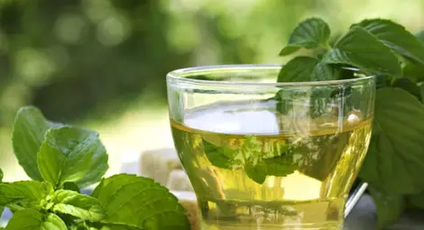 Учени: Зеленият чай наистина помага за отслабване, ако се комбинира с упражнения