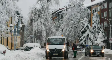 Снимка: БТА