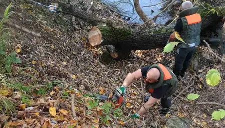 Почистиха коритото на река Черни Лом край село Пепелина&nbsp;от паднали дървета и клони
