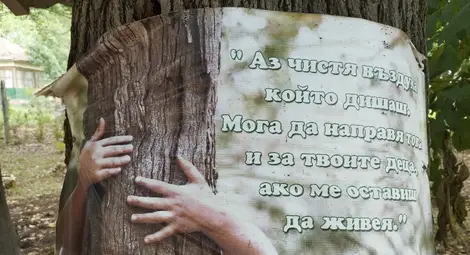 Площадът пред библиотеката се превръща в истинска горска еко пътека