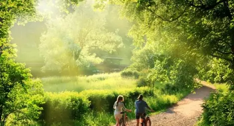 Бързото ходене е знак за по-дълъг живот