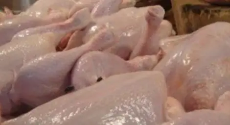 Затвориха нелегална кланица за пилета във Варна