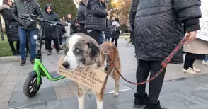 Втори протест в защита на животните в Русе: Днес е животно, утре може да е човек!