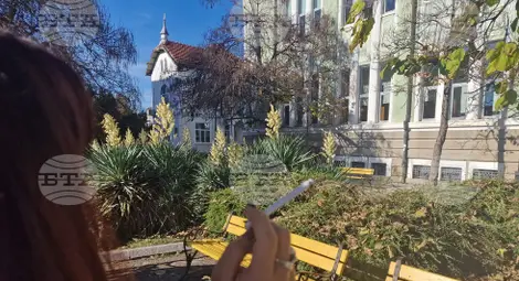 Снимка: БТА Снимка: БТА