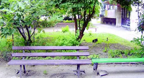 Наглец свали златото от почиваща на пейка баба Наглец свали златото от почиваща на пейка баба