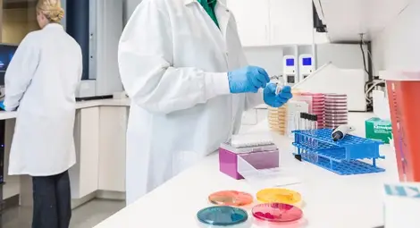 Половин детска градина приета по спешност в болницата Половин детска градина приета по спешност в болницата