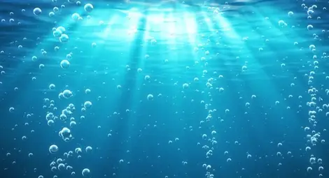 Първите животни са наситили океаните с кислород