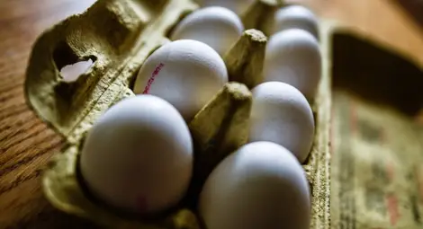 Български яйца ще бъдат изтеглени заради птичи грип