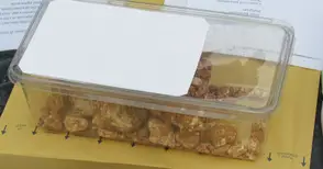 Колет с камъни до Юнкер стигна до ДАНС и Цацаров