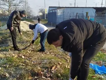 Младежите от ВМРО засадиха борови дръвчета за Коледа до Охлюва в Русе