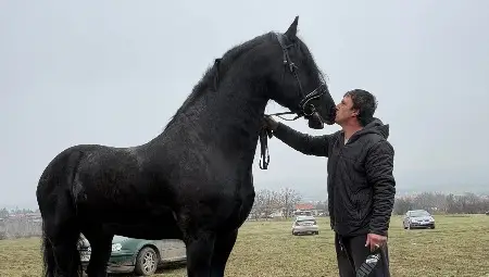 Тодоровден &ndash; Тудорица в Ценово: тропот на копита, жив дух и традиция, която препуска напред