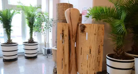 Дървесата от скулптурния симпозиум ще бъдат подредени на кея на Дунава