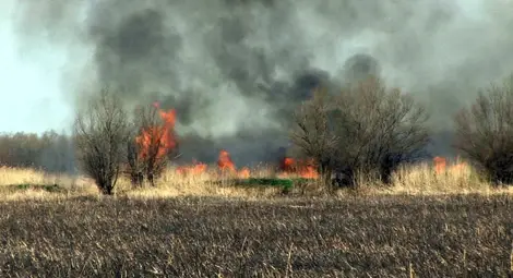 200 пожара в сухи треви и нито един наказан от началото на годината