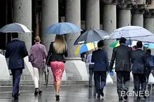 Дъждът и студът увеличават продуктивността