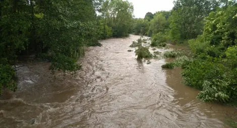 Почистват коритото на река Сараджийска Почистват коритото на река Сараджийска