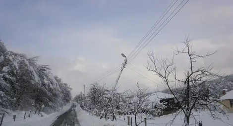Енерго-Про: 46 села от Североизточна България са без ток