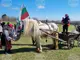 С традиционни кушии, захранване на кон и конкурс за най-дълга коса премина Тодоровден в търговищкото село Макариополско
