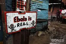 Лекари търсят причините за ебола в Конго