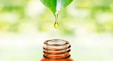 Какво трябва да знаем за маслата за пиене и кои са най-популярните видове?
