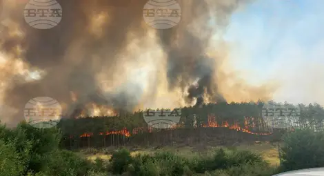 Снимка: БТА