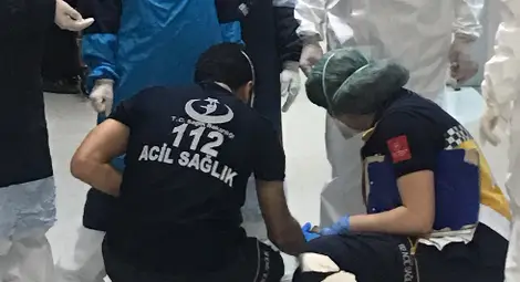 Улична котка търси помощ в Спешното за малкото си Улична котка търси помощ в Спешното за малкото си