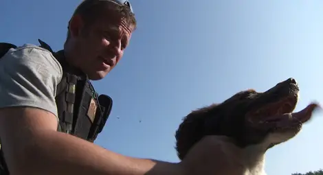 Как се учат кучета да спасяват хора &ndash; по Viasat Nature