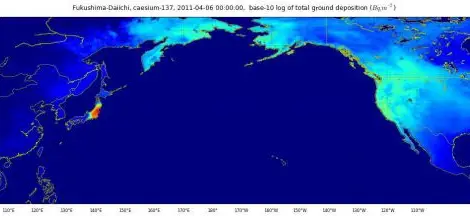 Как аварията във Фукушима засегна всеки човек на Земята изясниха учени
