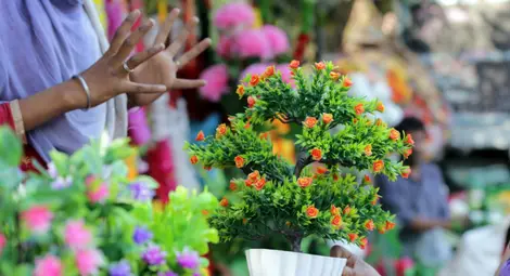 Американка две години поливала изкуствено цвете