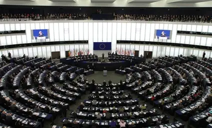Каква е работата на евродепутата
