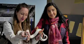 4 разновидности на боа удушвач обитават терариума в Екомузе