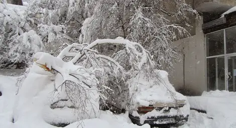 Без обезщетения за снеговалежите
