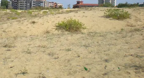 Застрояването на дюните в местността &bdquo;Кокала&ldquo; край Несебър може да започне още днес