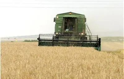 42% е делът на сивия сектор в земеделието